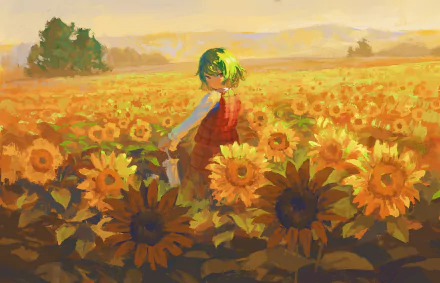 HD anime desktop wallpaper featuring a Touhou character standing in a vibrant sunflower field bathed in warm, golden sunlight.