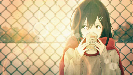 Anime girl anime girl HD Desktop Wallpaper | Background Image