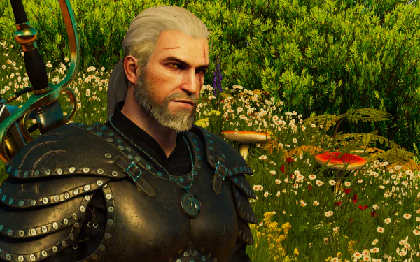  The Witcher 3 Geralt