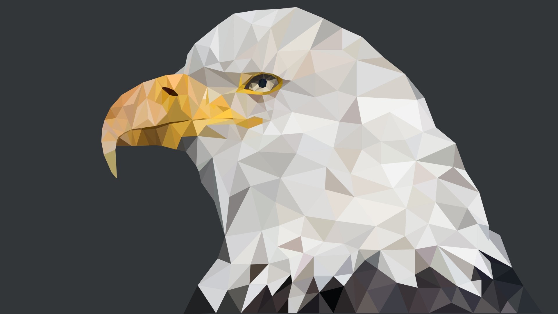 Download Animal Bald Eagle 8k Ultra HD Wallpaper