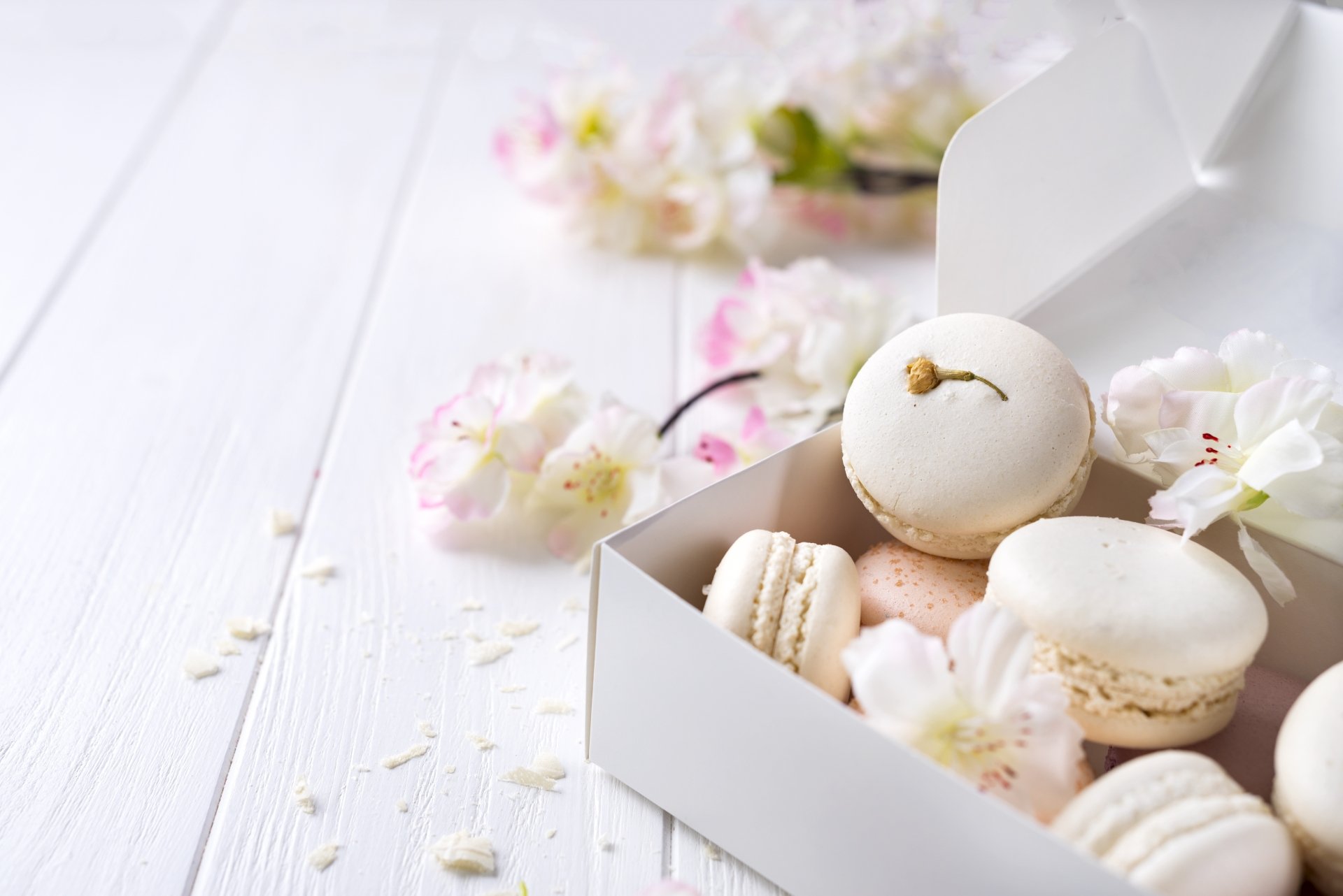 Download Food Macaron 4k Ultra HD Wallpaper