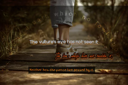  A path