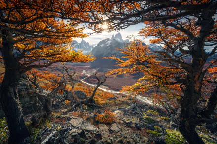 4K Ultra HD PC desktop wallpaper showcasing a vibrant autumn landscape in Patagonia, framed by orange-leafed trees with rugged mountains in the background.