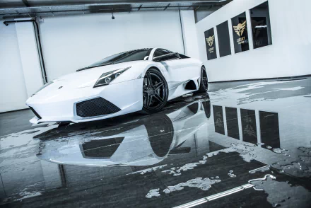 vehicle Lamborghini Murcielago HD Desktop Wallpaper | Background Image