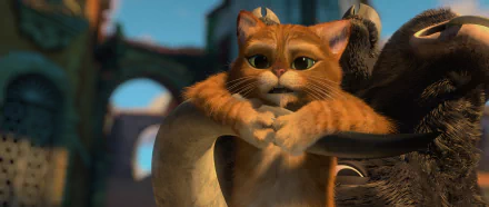 cat movie Puss in Boots HD Desktop Wallpaper | Background Image