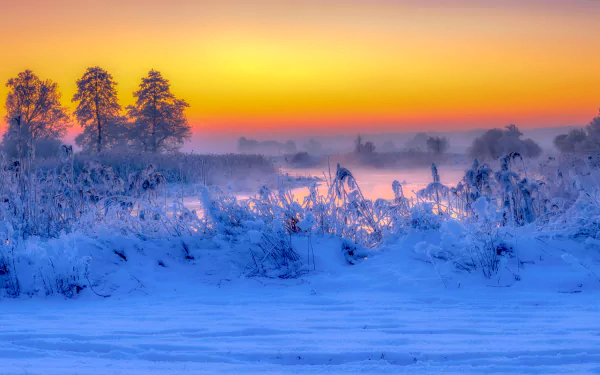 Poland winter nature sunset HD Desktop Wallpaper | Background Image
