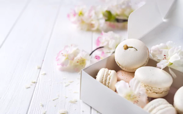food macaron HD Desktop Wallpaper | Background Image
