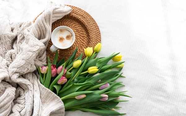 Photography Still Life HD Wallpaper | Background Image