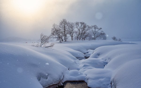 Nature Winter Snow HD Wallpaper | Background Image