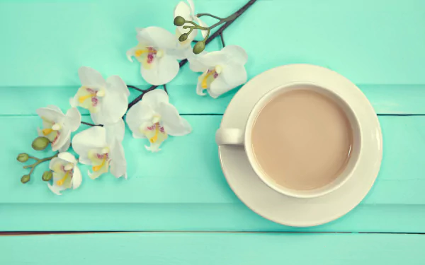 food coffee HD Desktop Wallpaper | Background Image