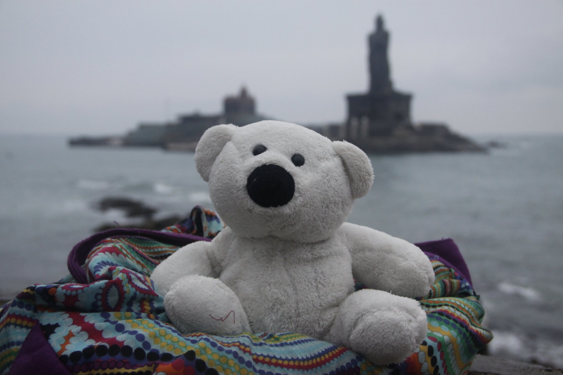 Download Man Made Stuffed Animal 4k Ultra HD Wallpaper