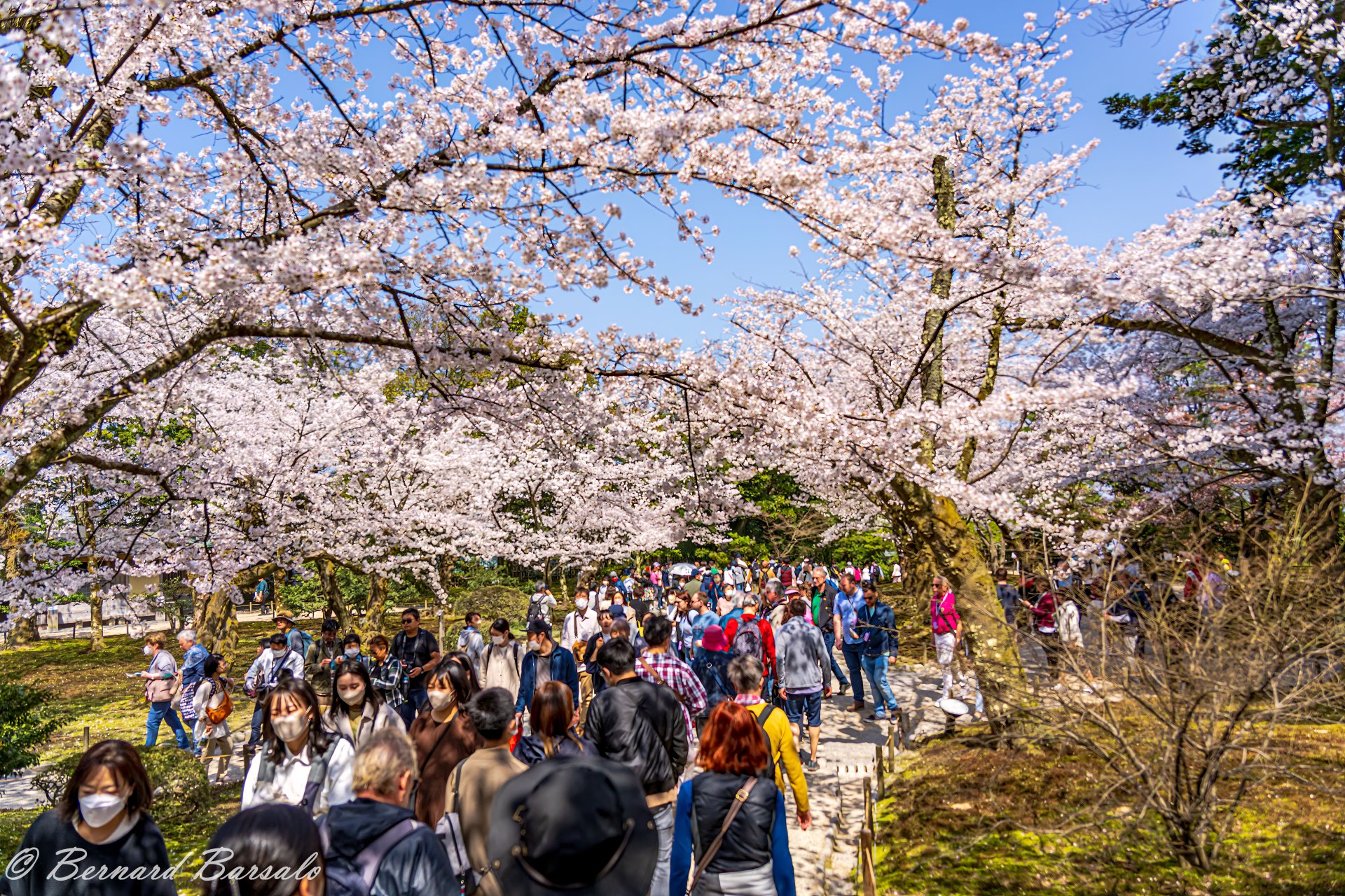 Download Man Made Japan 8k Ultra HD Wallpaper