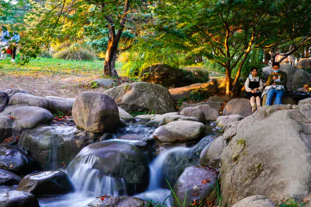 photography nature HD Desktop Wallpaper | Background Image