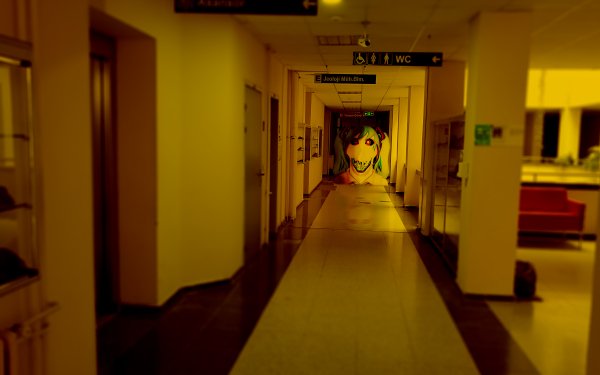 Dark Corridor HD Wallpaper | Background Image