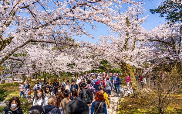 man made Japan HD Desktop Wallpaper | Background Image