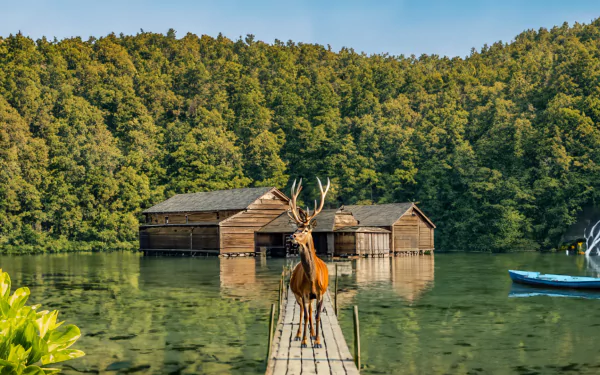  nature