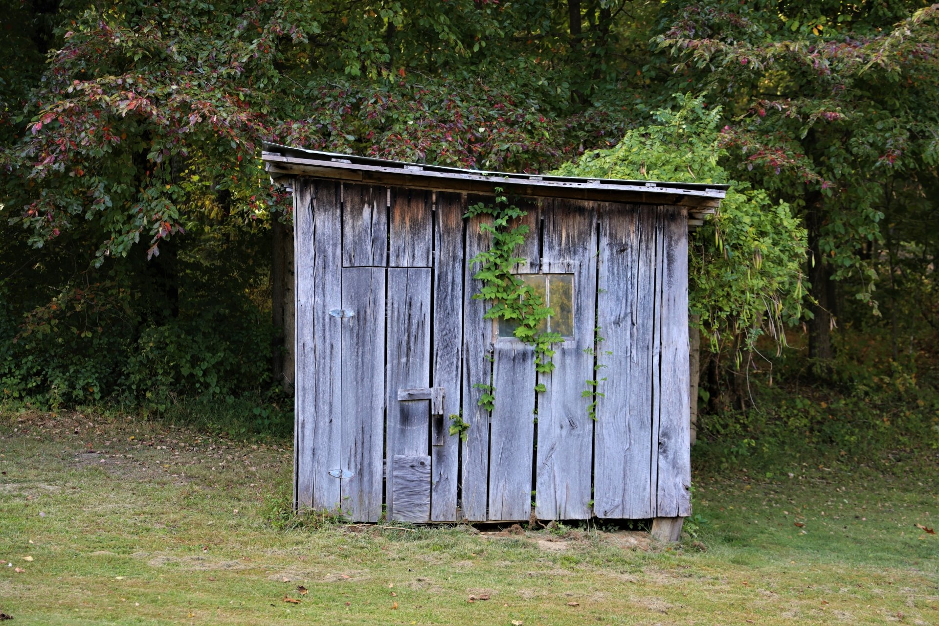 The Old Outhouse by kayakteddy