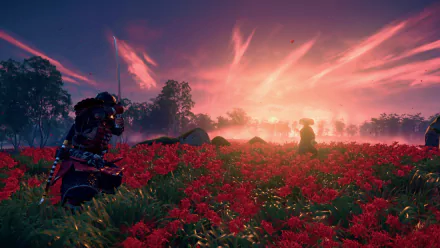 4K Ultra HD wallpaper of a samurai in red armor holding a sword at sunset, standing in a vibrant red flower field, inspired by the video game Ghost of Tsushima in Japan.