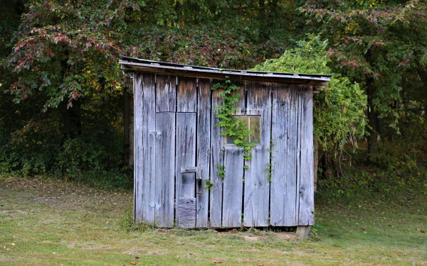  The Old Outhouse