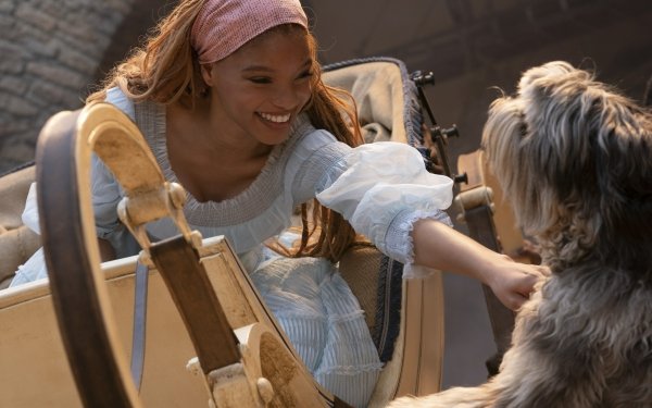 HD wallpaper featuring a smiling young woman interacting with a playful dog in a scene inspired by The Little Mermaid (2023).