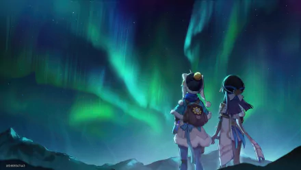 HD PC desktop wallpaper featuring Pela from the video game Honkai: Star Rail, standing beside another character under a vibrant aurora-lit night sky.