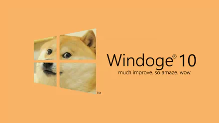 Dog Shiba Inu in a Windows 10 parody wallpaper with humorous Doge meme phrases.