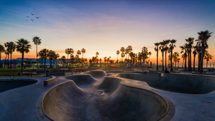 A 4K Ultra HD man-made skatepark at sunset, surrounded by palm trees and a clear sky with birds flying, creating a vibrant and serene outdoor scene.