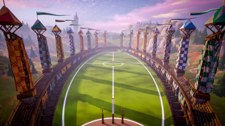  Quidditch Field