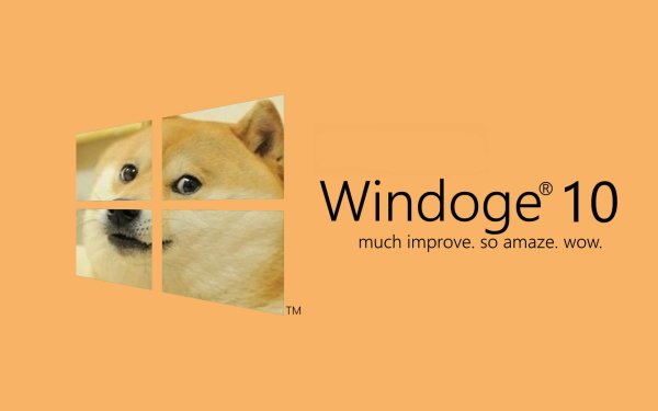 Dog Shiba Inu in a Windows 10 parody wallpaper with humorous Doge meme phrases.
