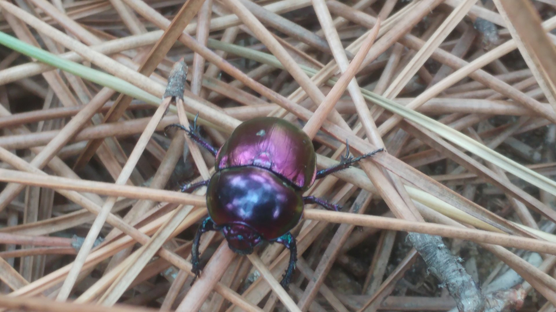 Download 4k Ultra HD Wallpaper