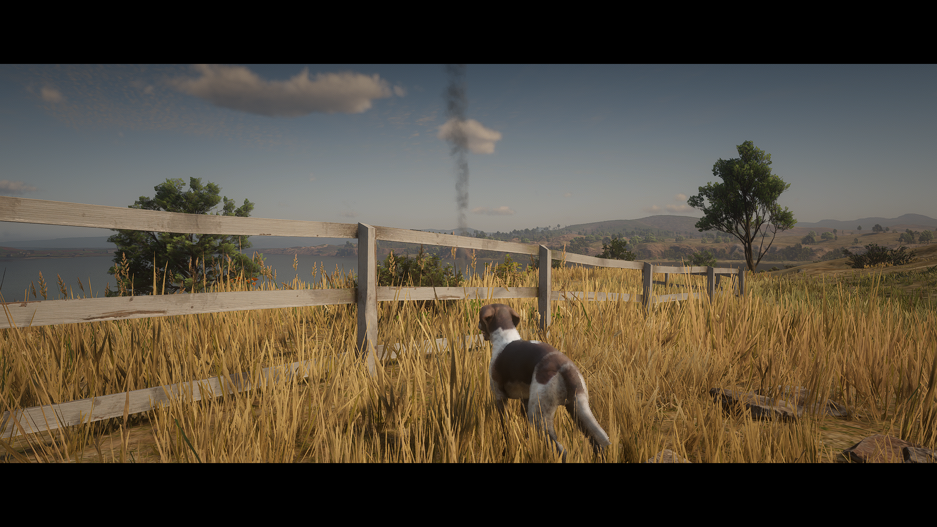 Red Dead Redemption 2 HD Wallpaper — Hound by the Fence by BritsBP ...
