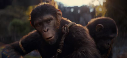 A striking HD wallpaper from Rise of the Planet of the Apes, featuring a close-up of a thoughtful ape, showcasing the film's intense emotional depth and stunning visuals.