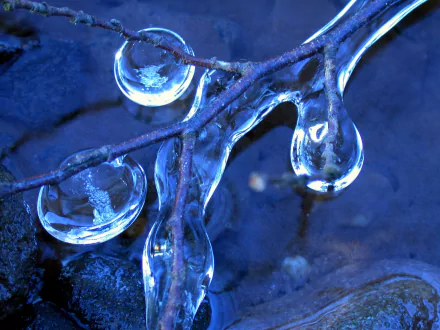 A close-up of frozen droplets on a branch, showcasing intricate ice formations against a dark, textured background. This HD desktop wallpaper embodies the Frutiger Aero aesthetic.