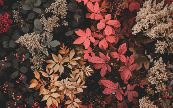 HD wallpaper featuring a colorful assortment of foliage and leaves, ideal for a desktop background.