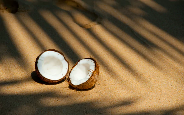 Sandy beach with a coconut tree under a clear blue sky - perfect HD desktop wallpaper.