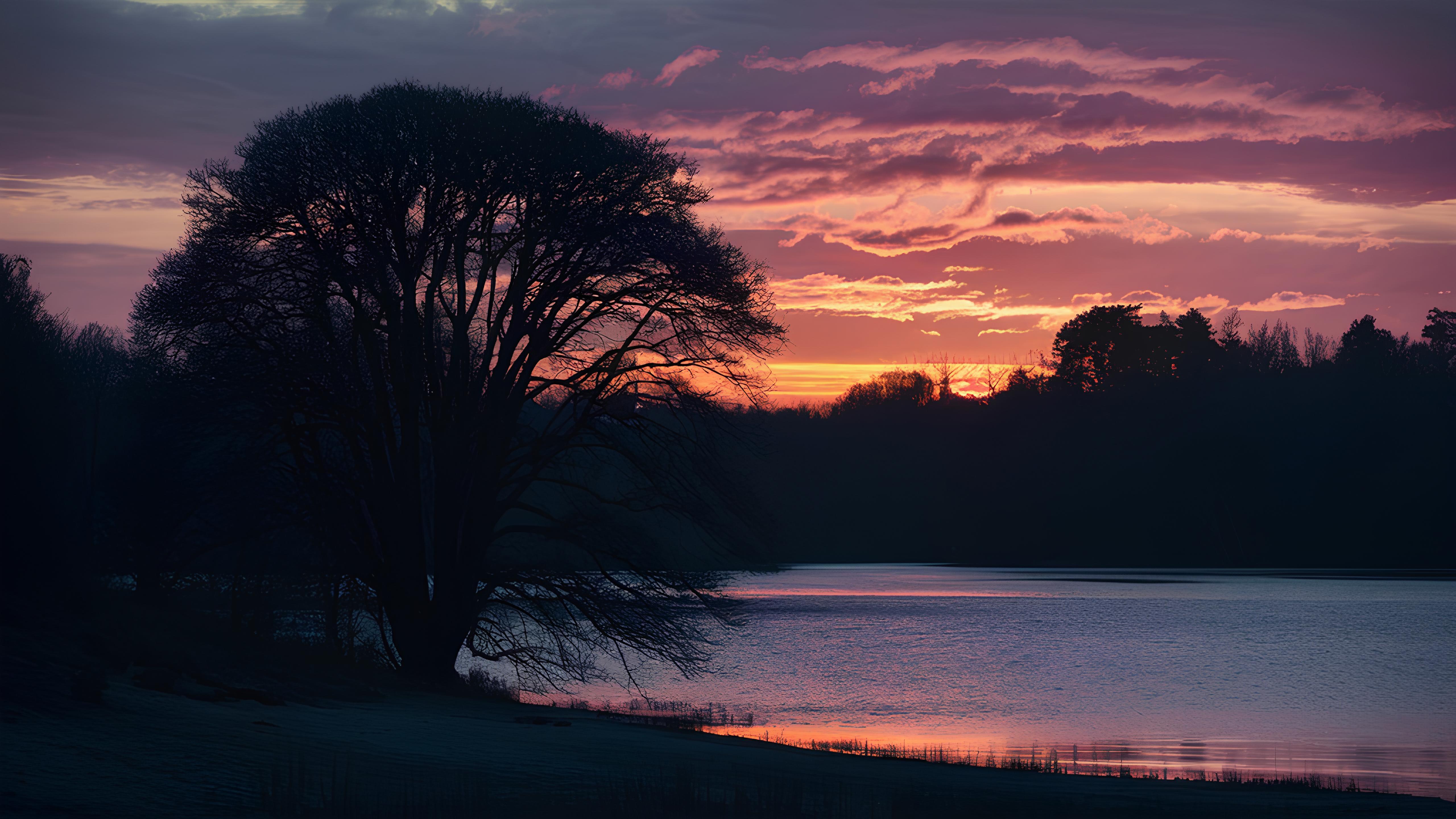 Majestic Tree Silhouette By Tranquil Lake At Dusk By Gabruwallpapers