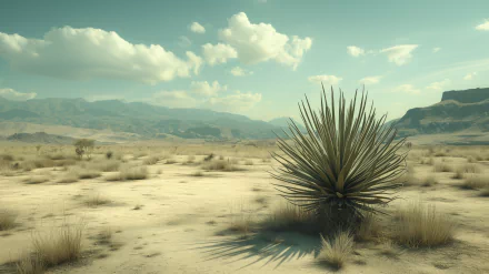 HD wallpaper featuring a desert landscape with a prominent desert plant under a blue sky with clouds.