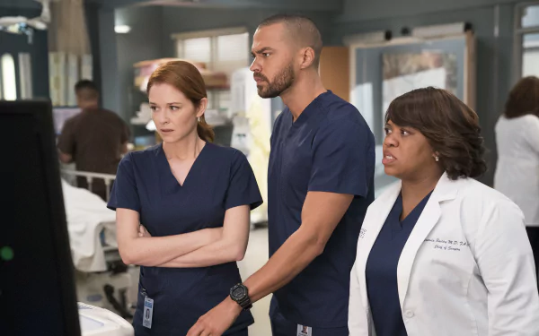 Grey's Anatomy cast members in a hospital setting feature as a high-definition desktop wallpaper and background, representing the popular TV show.