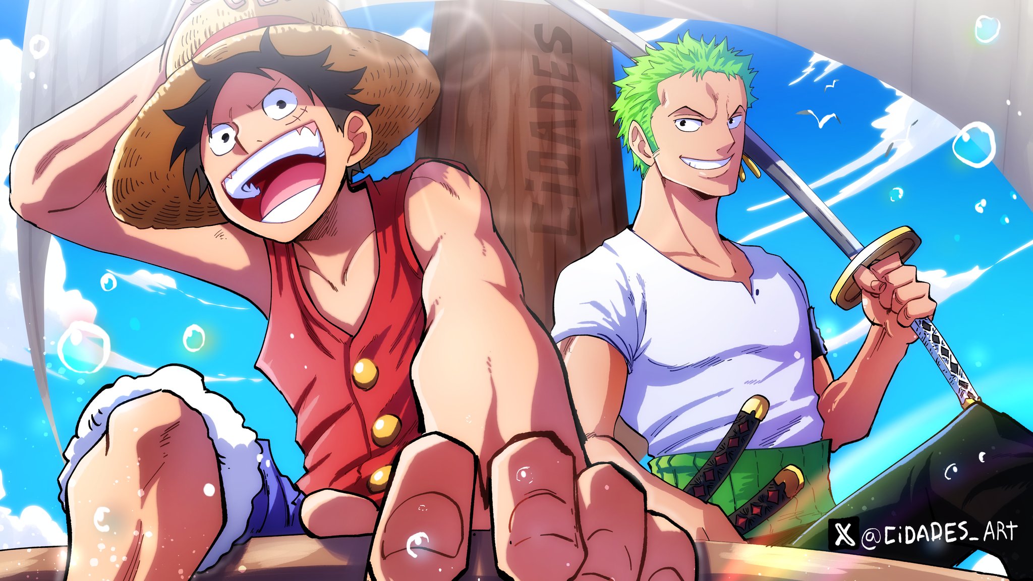 Download Anime One Piece Monkey D. Luffy Roronoa Zoro HD Wallpaper by ...