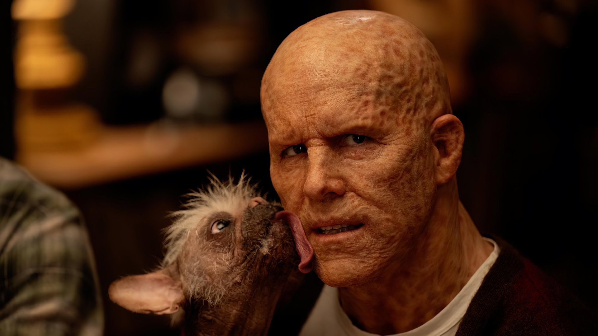 HD desktop wallpaper featuring Deadpool, portrayed by Ryan Reynolds, interacting with a dog. The image is tagged with movie, Deadpool & Wolverine, and Ryan Reynolds.