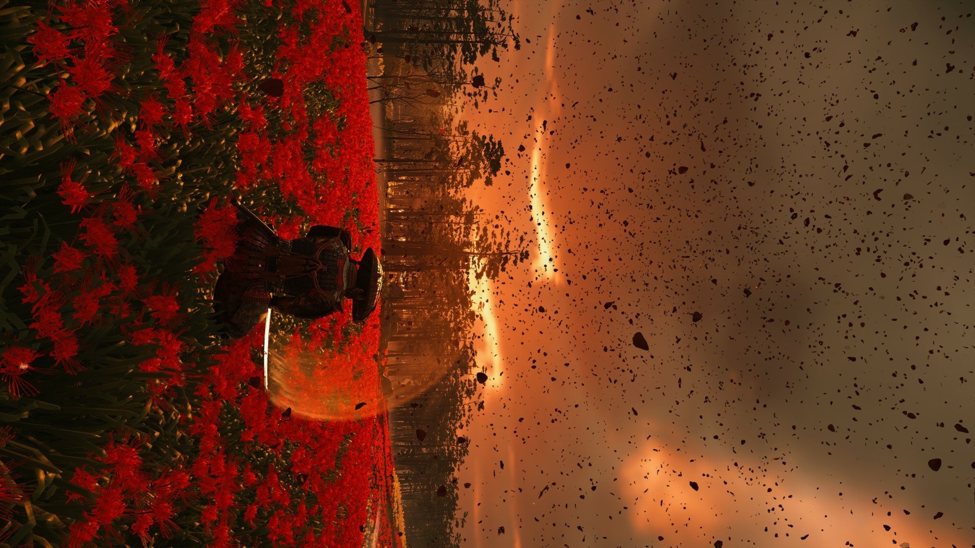 HD PC desktop wallpaper showing a person standing in a vibrant red poppy field under a dramatic, fiery sky with swirling leaves and glowing light effects.