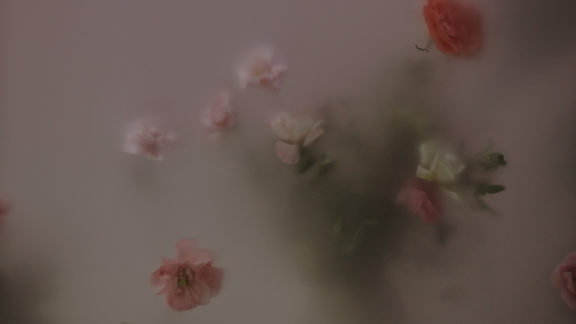 Download Aesthetic 4k Ultra HD Wallpaper