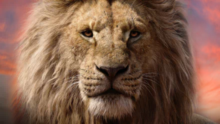 HD desktop wallpaper featuring Mufasa from The Lion King. The image shows a detailed portrait of the lion's face, with a vivid sunset in the background.