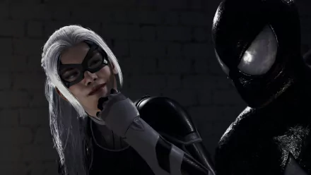  Spiderman and Black Cat