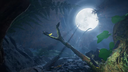 HD desktop wallpaper and background from the video game Empire of the Ants, depicting a moonlit forest scene with ferns, branches, and scattered leaves.