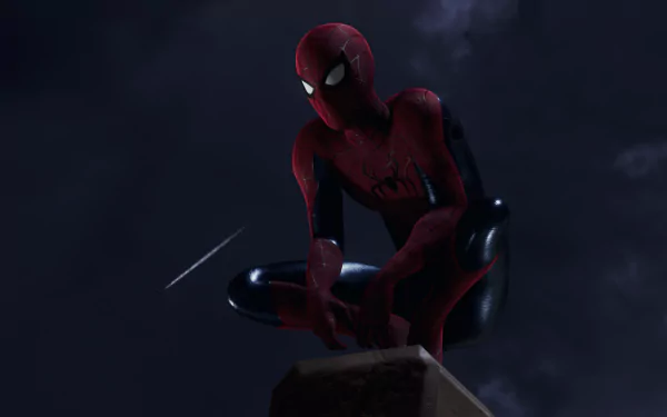  Spider Man