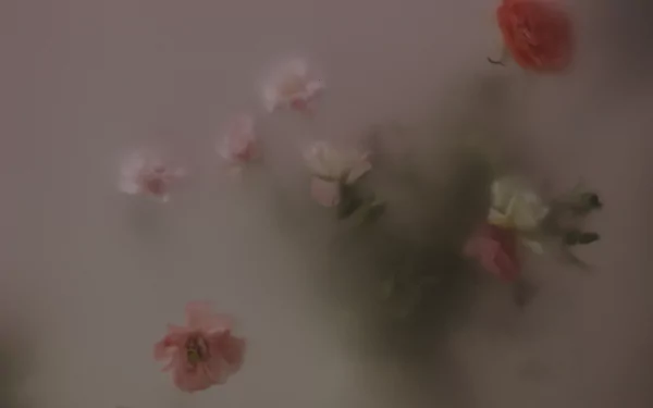  "Frosted Flower"