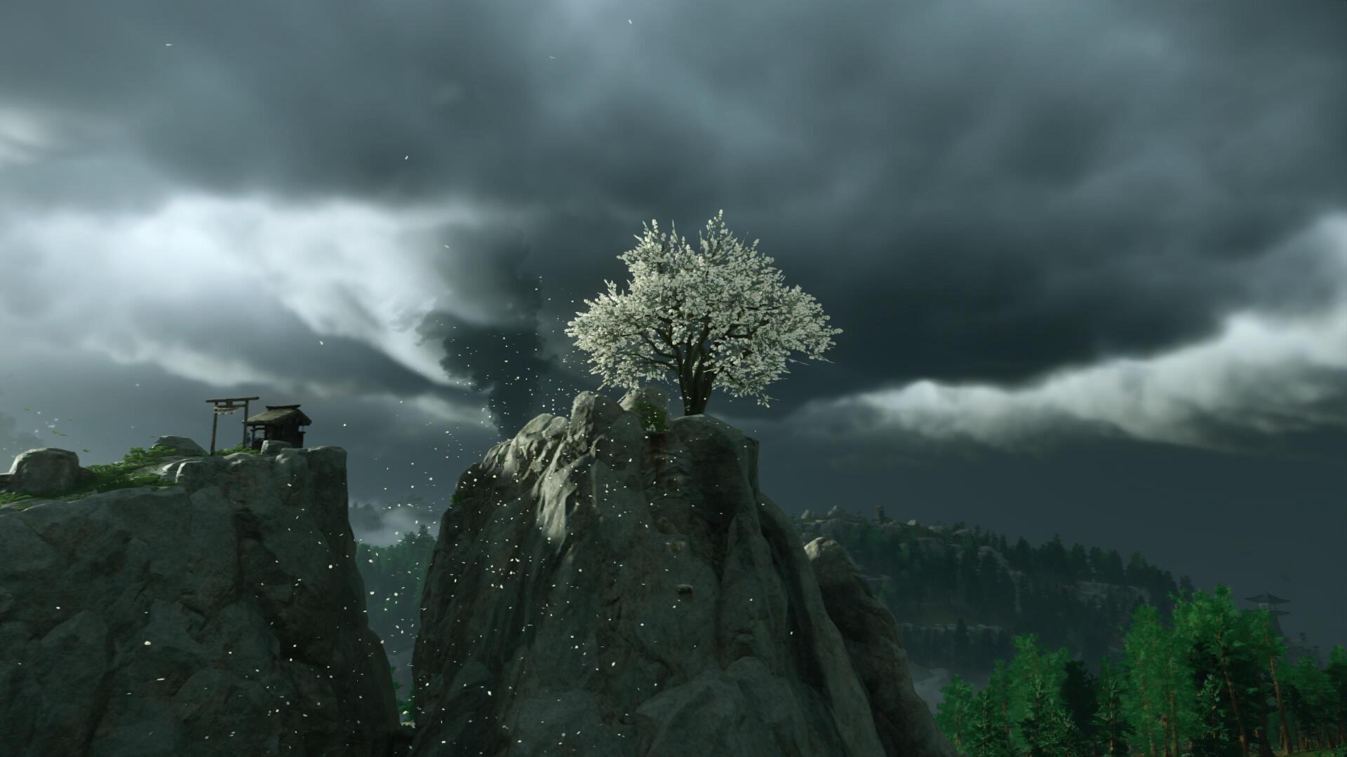 4K Ultra HD Ghost of Tsushima PC wallpaper showing a solitary blossoming tree atop a rocky cliff under a stormy, cloud-filled sky.