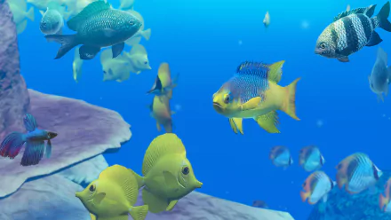 Endless Ocean HD Desktop Wallpaper | Background Image