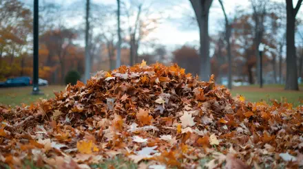 A vibrant pile of autumn leaves in a park, captured in 4K Ultra HD with trees and a soft sky in the background, showcasing nature's seasonal beauty.